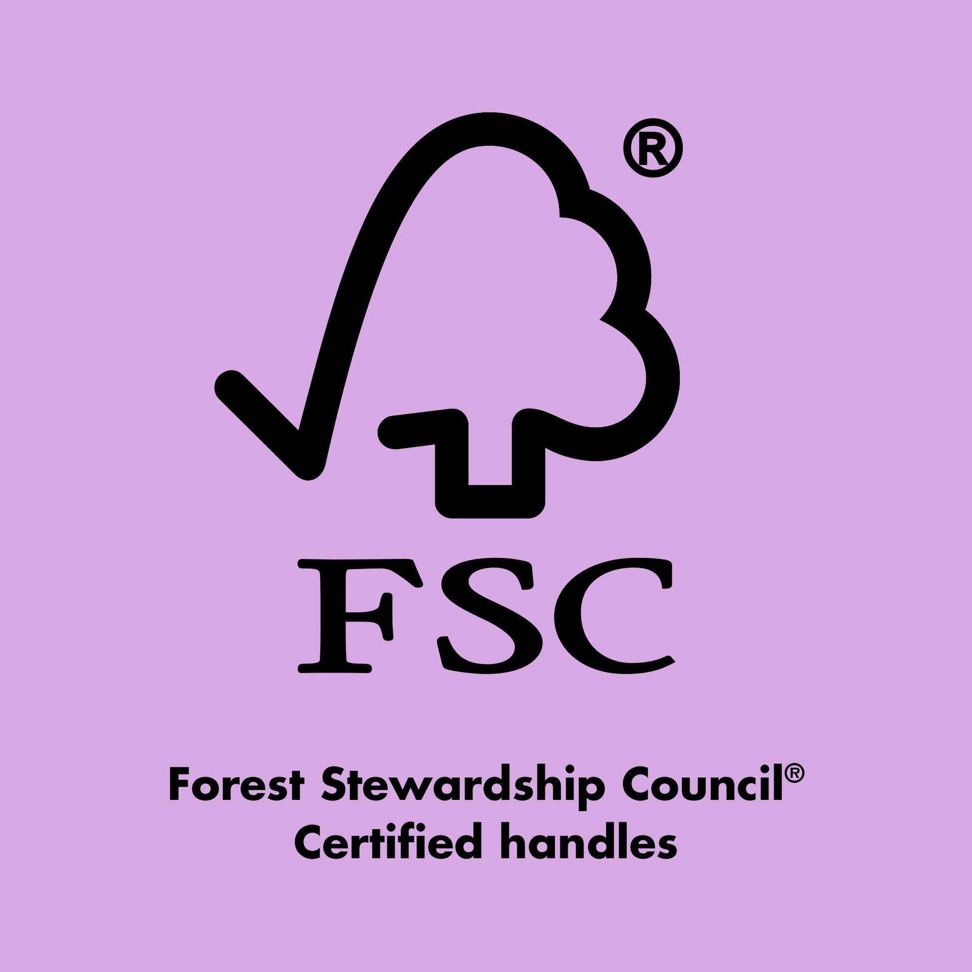 ten-out-of-ten-brush-kit-t3 0423_EDUCATION_FSC_EVERGREEN.jpg