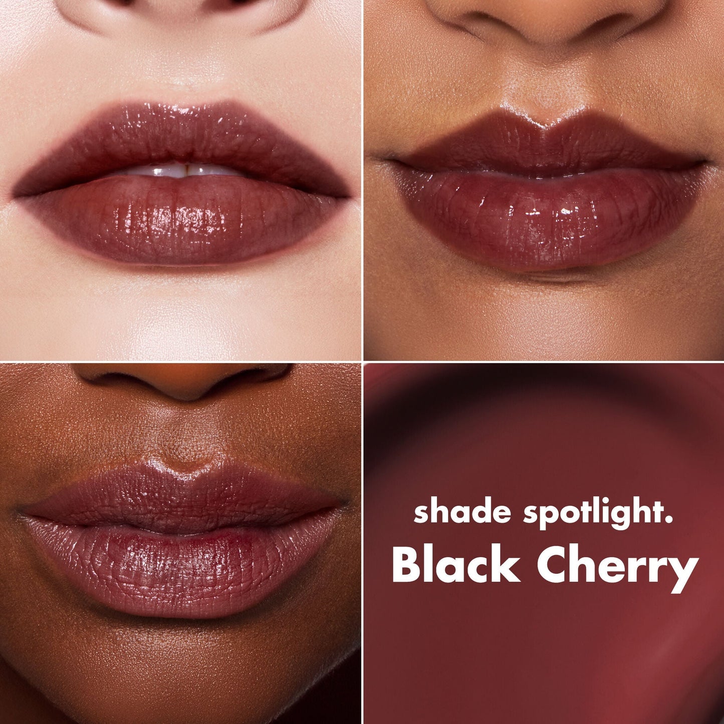 lip-lacquer-v4 0426_EDU_LipLaquer_ShadeChart_BlackCherry.jpg