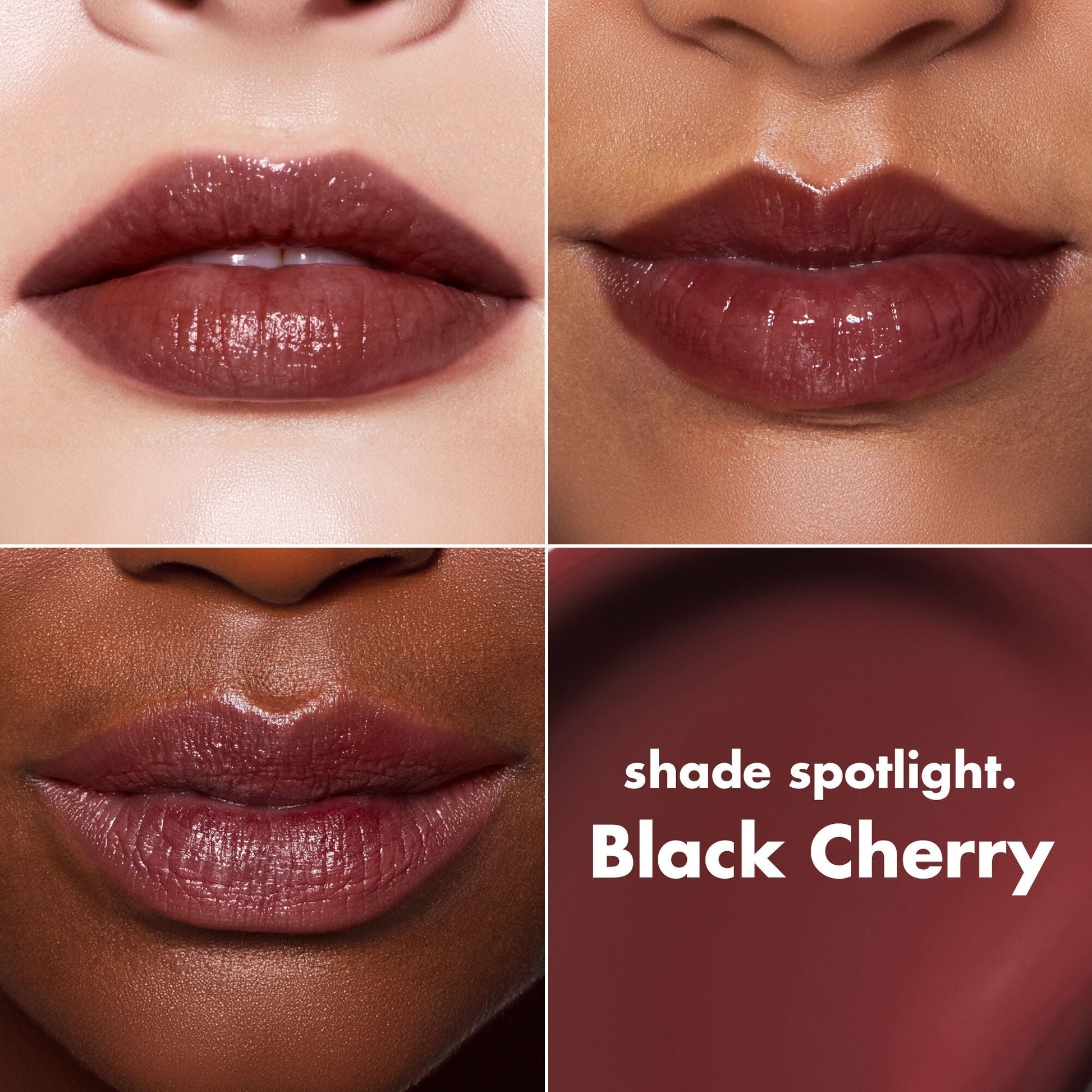 lip-lacquer-v4 0426_EDU_LipLaquer_ShadeChart_BlackCherry.jpg