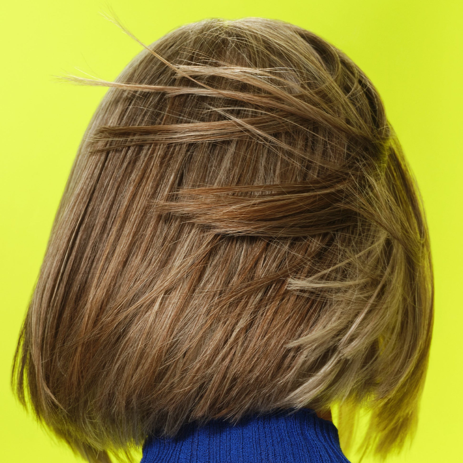 frizz-to-rizz-trio-q2 111725_Vicky_HumidityAntifrizz-Editorial_0538_w2QC_IGF_1x1_05a09617-4ccf-44a2-8545-199321a503e1.jpg