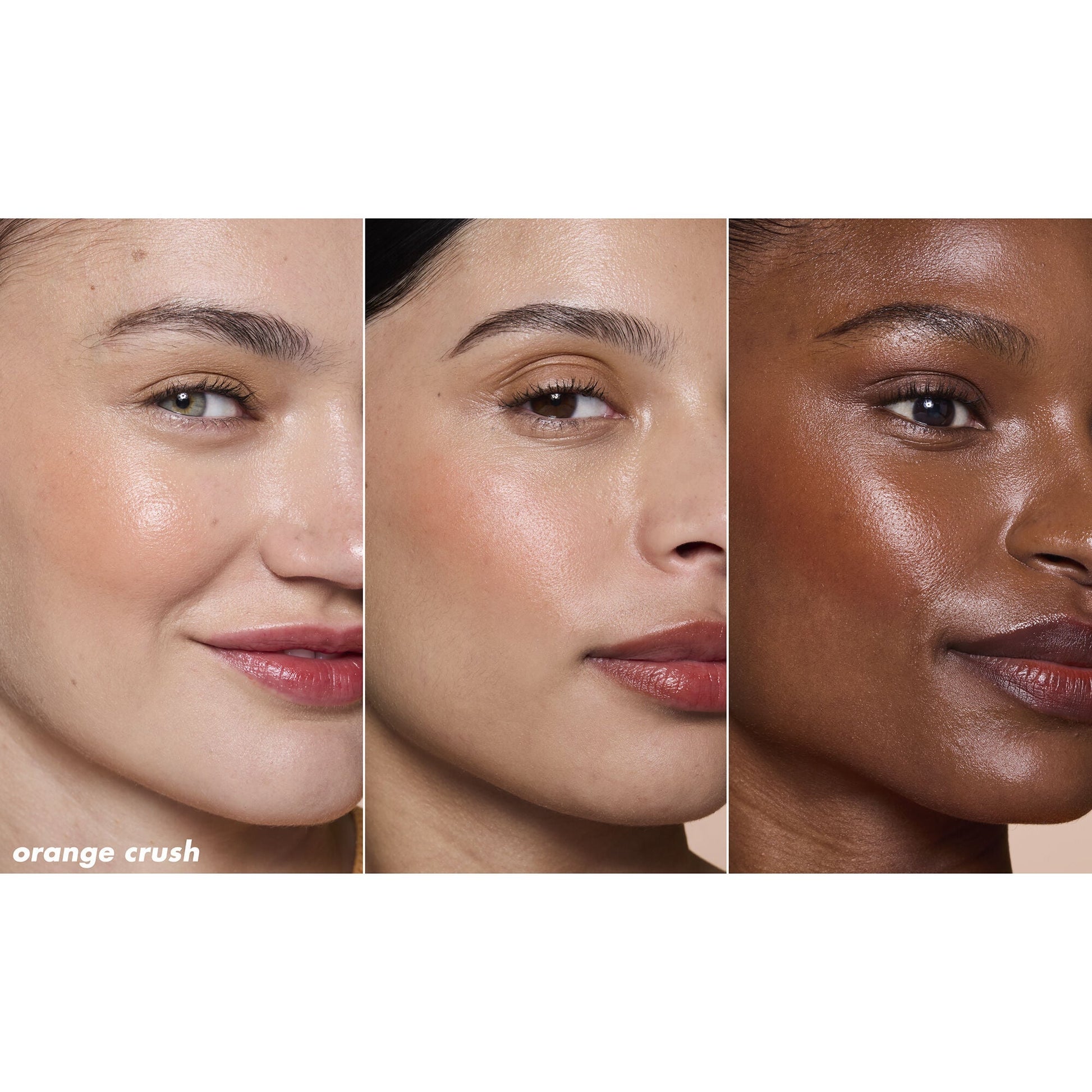 sheer-lip-combo-a1 82321_SHEER-FOR-IT-BLUSH-TINT_ORANGE-CRUSH_TRIPTYCH_v2.jpg